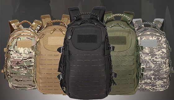 En plein air, sac à dos étanche avec système de Molle et dos physiologique courbé